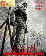 Aegan 2008 songs