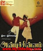 Anbu Chinnam 1990 songs