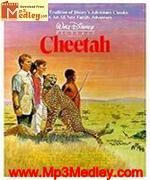 Chetaah 2008 songs