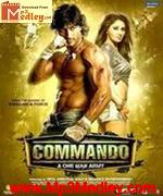 Commando 2013 album cover