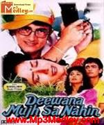 Deewana Mujhsa Nahin 1990 songs