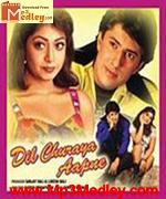 Dil Churaya Aapne 2001 songs