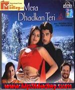 Dil Mera Dhadkan Teri 2002 album cover