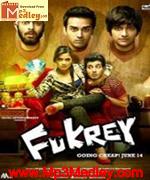 Fukrey 2013 album cover