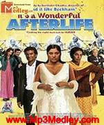 Its Aa Wonderful Afterlife 2010 album