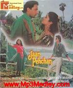 Jaan Pehchan 1990 songs