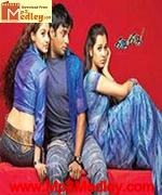 Jay Jay 2003 album cover