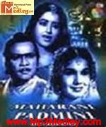 Maharani Padmini 1964 album cover