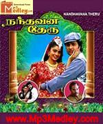 Nanathavana Theru 1994 songs