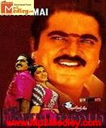 Nattamai 1994 songs