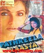 Pathreela Raasta 1995 album cover