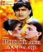 Phool Aur Angaar 1993 songs