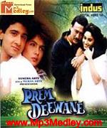 Prem Deewane 1992 album cover