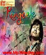 Rangeele 2012 album cover