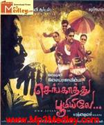 Sengathu Bhoomile 2011 songs