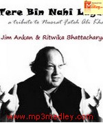 Tere Bin Nahi Lagda songs