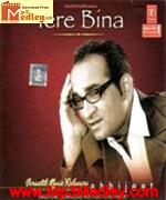 Tere Bina Abhijeet 2003 songs