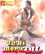 Tu Hi Mera Dil 1995 songs